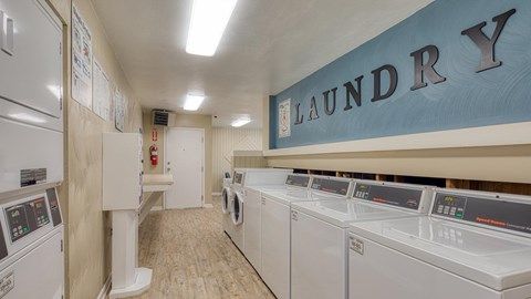 A row of washing machines in a laundry room.