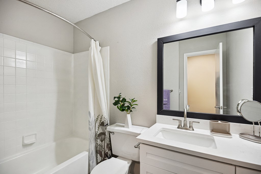 a bathroom with a sink and a mirror and a shower