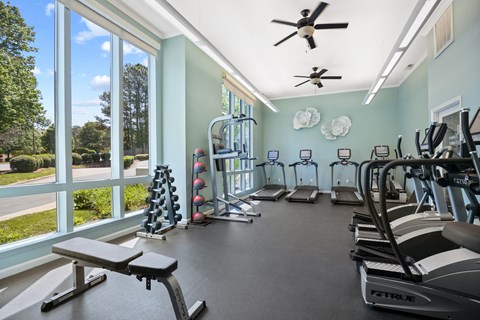 A gym with a variety of equipment including treadmills, weights, and a bench.