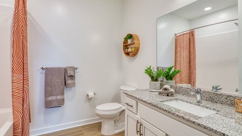 a bathroom with a toilet and a sink and a mirror  at Allure at Edinburgh, Chesapeake