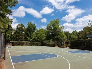 a basketball court in a park with trees in the background