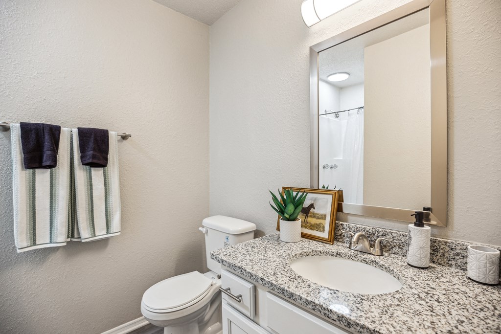 a bathroom with a sink and a toilet and a mirror