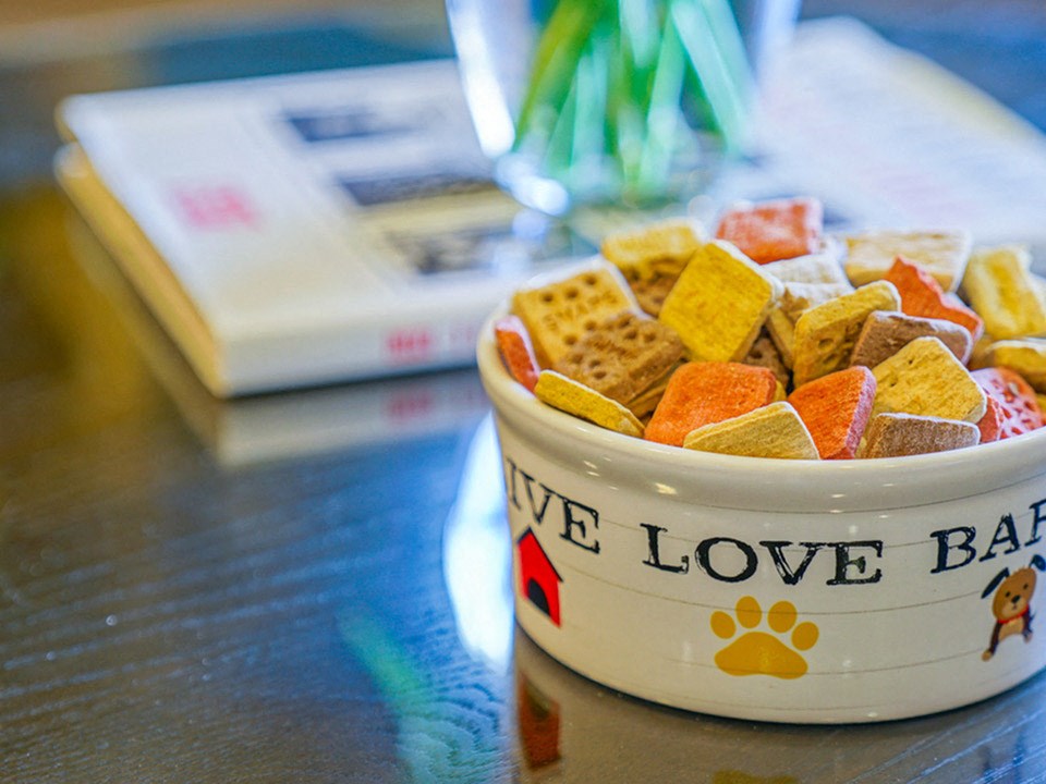 bowl of dog treats 