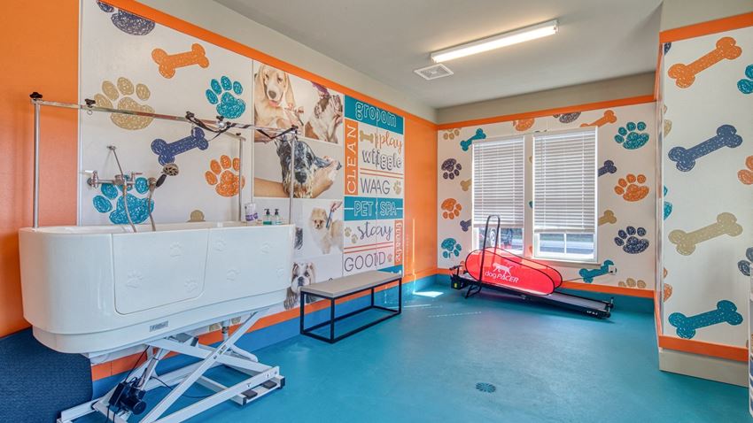 Artistry At Winterfield