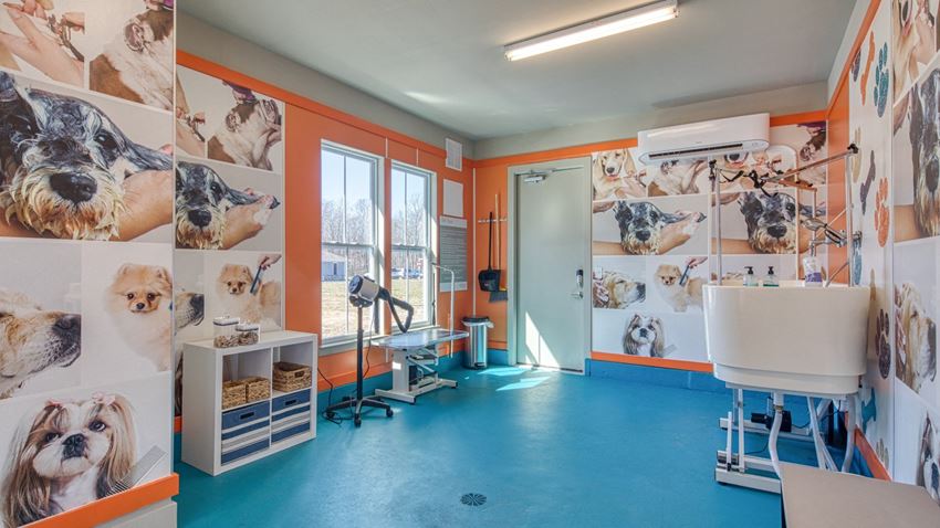 Artistry At Winterfield