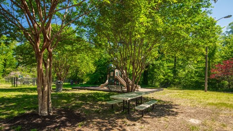 A park with a picnic table and trees.
