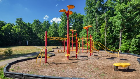 a colorful playground in a park with trees