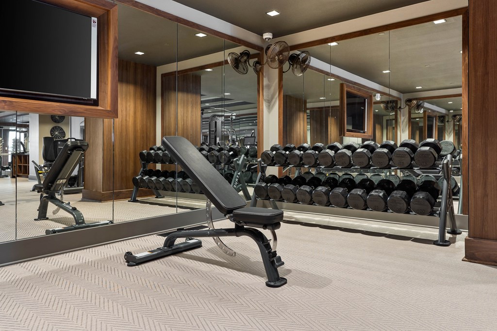a gym with weights and a tv on the wall