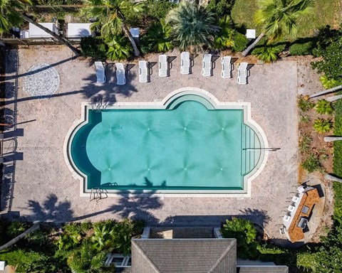 An aerial view of a swimming pool surrounded by palm trees and lounge chairs.
