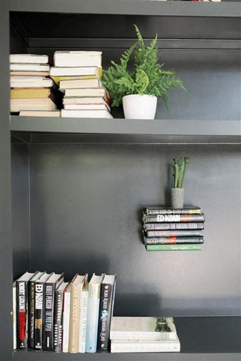 Book shelves at The Merchant, South Carolina, 29403 - Photo Gallery 21