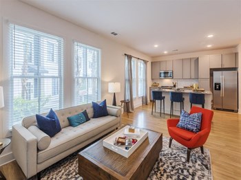 Modern Living Room at The Merchant, South Carolina, 29403 - Photo Gallery 35