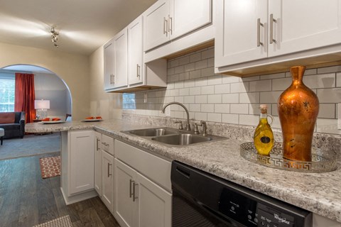 A kitchen with a sink, a dishwasher and a vase on the counter.