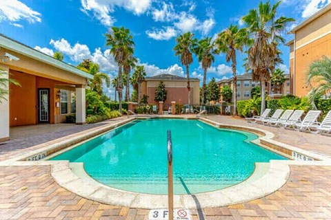 A pool surrounded by palm trees and lounge chairs.
