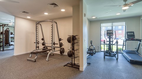 A well-equipped gym with a variety of exercise machines and weights.
