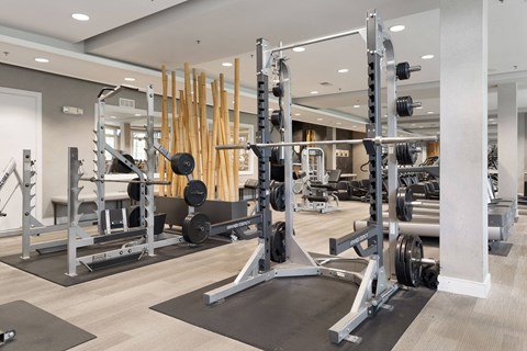 a gym with weights and dumbbells on the floor at The Charleston, Columbus