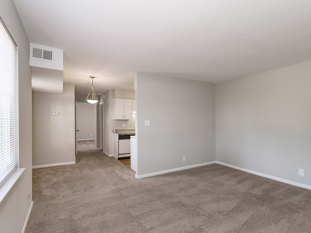 A room with a carpeted floor and a kitchen area in the background.