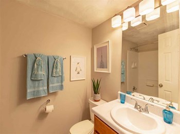 Master bathroom at Coasline Apartments 631 Lake Edward Drive 1-3 Beds Apartment for Rent - Photo Gallery 5