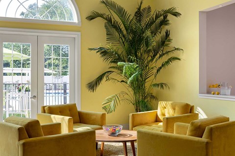 A living room with yellow chairs and a large plant.