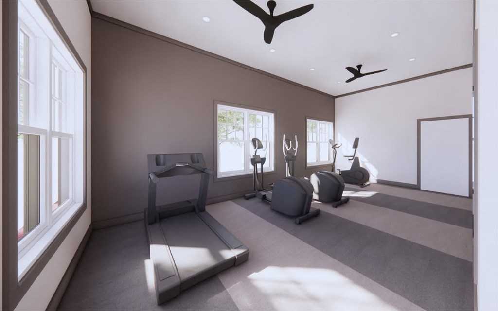 Fitness Center With Modern Equipment at The Mark Townhomes Apartments, Virginia, 22801