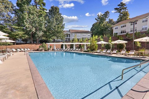 A large swimming pool surrounded by trees and umbrellas.