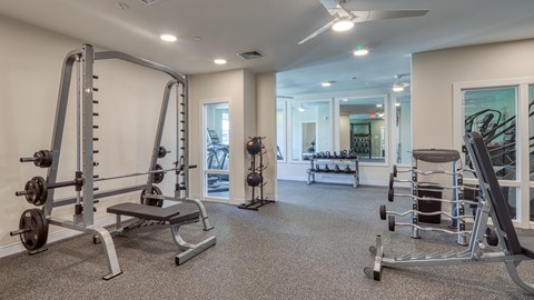 A well-equipped gym with a variety of exercise machines and weights.