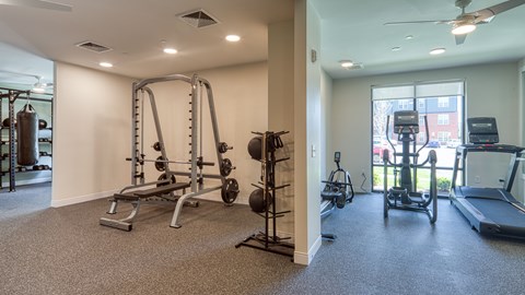 A spacious gym with a variety of equipment including a treadmill, weights, and a bench press.