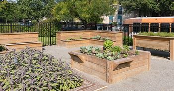 Apartments Gardens at Acclaim at  Carriage Hill, Richmond, VA