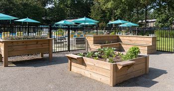 Garden Beds at Acclaim at  Carriage Hill, Richmond, VA, 23228