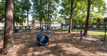 Animal Park at Acclaim at  Carriage Hill, Virginia, 23228