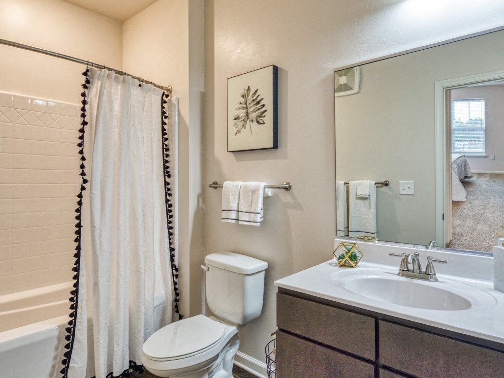 a bathroom with a shower toilet and sink and a mirror