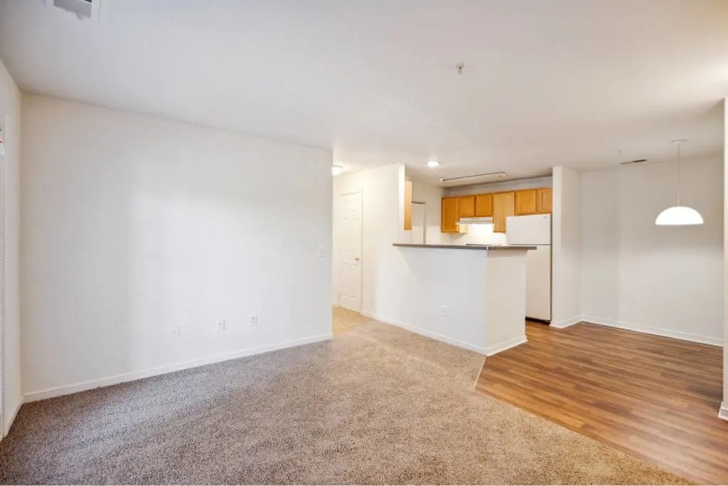 A spacious room with a carpeted floor and a wooden floor in the corner.
