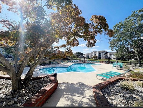 a swimming pool with a tree in the middle of it