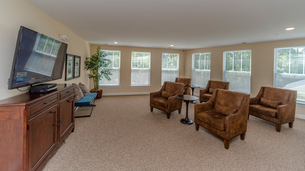 a living room with couches and chairs and a television