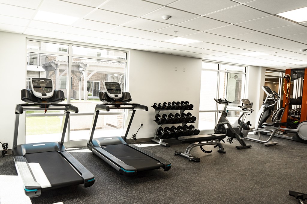 A gym with treadmills, weights, and exercise equipment.