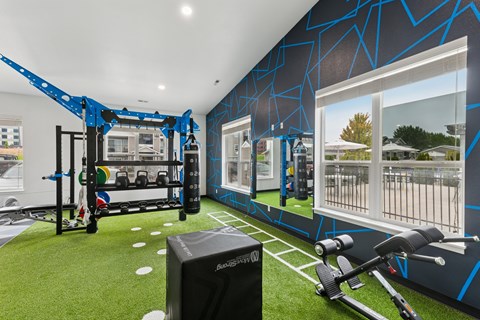 A gym with a blue and black color scheme and various exercise equipment.