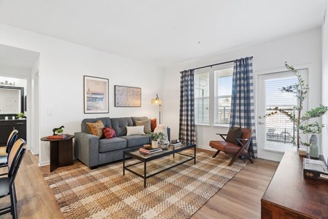 A living room with a grey couch, a coffee table, and a rug.