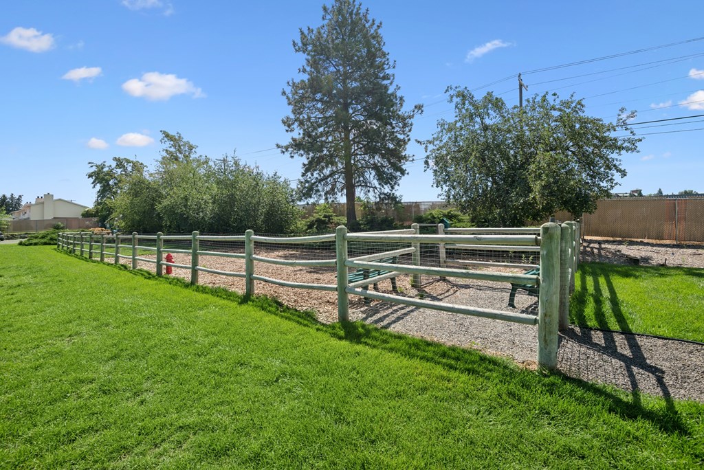 A green fenced area with a tree and a building in the background.