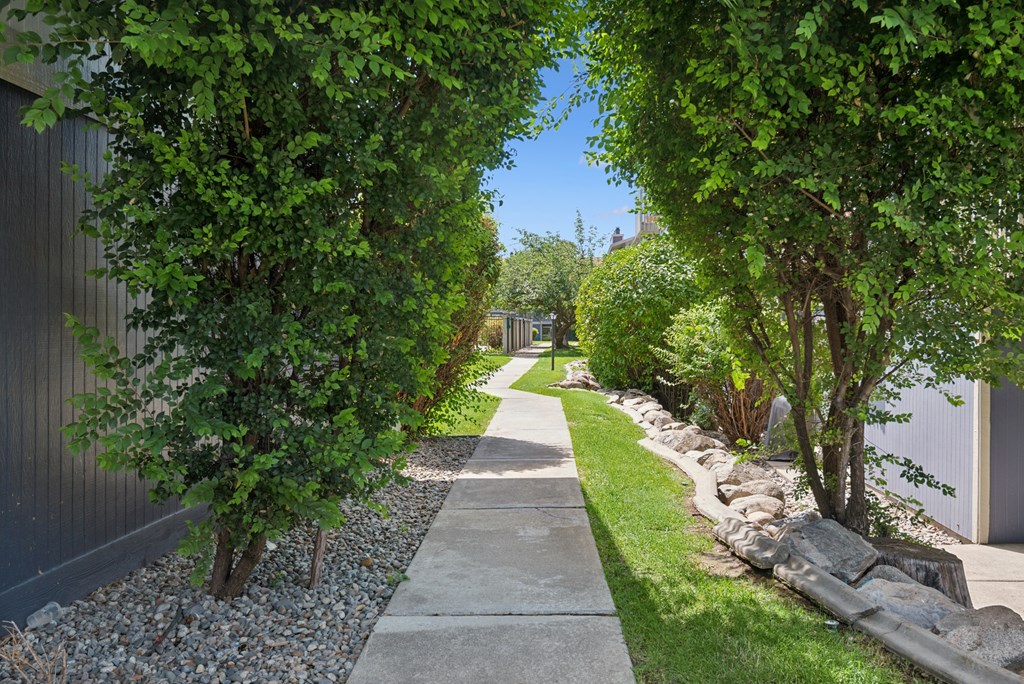 A tree-lined walkway with a gravel bed on the side.