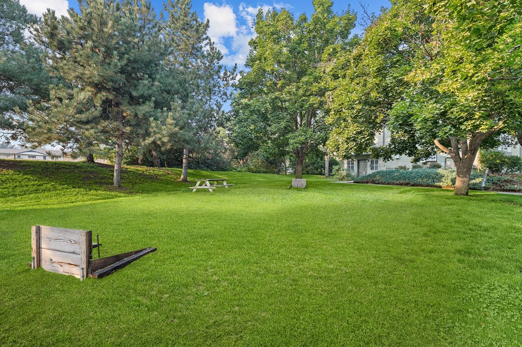 A park with a bench and trees.