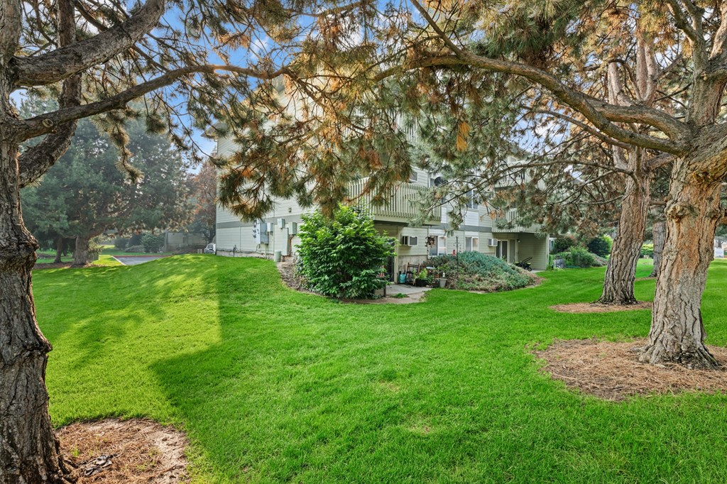 A house is surrounded by a green lawn and trees.