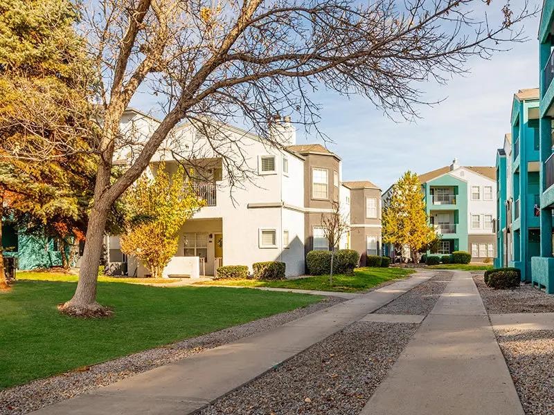 A tree in front of a white building with a gravel path in front of it.