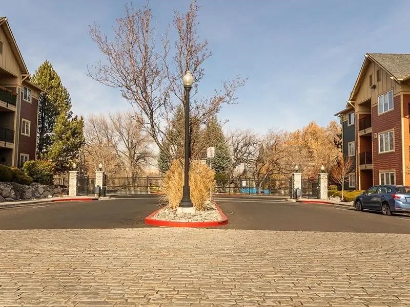 A tree with no leaves stands in a circle of bricks.