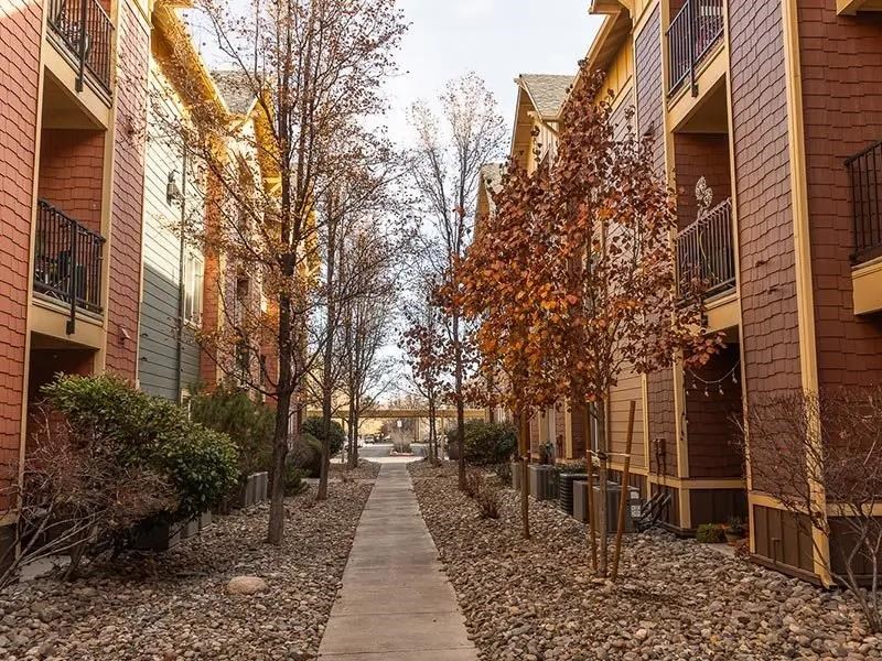 A long, narrow walkway separates apartment buildings.