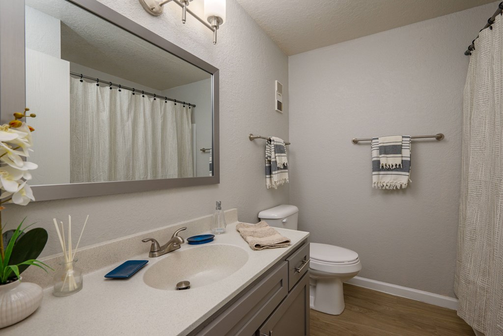 A bathroom with a white toilet, sink, and shower curtain.