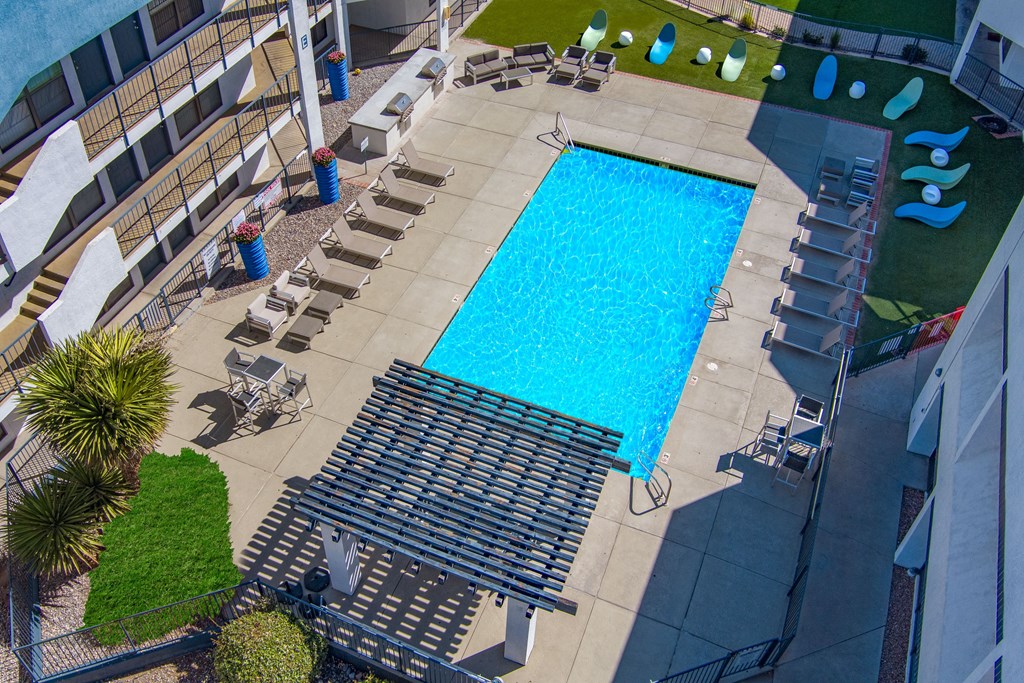 A large blue swimming pool surrounded by lounge chairs and palm trees.