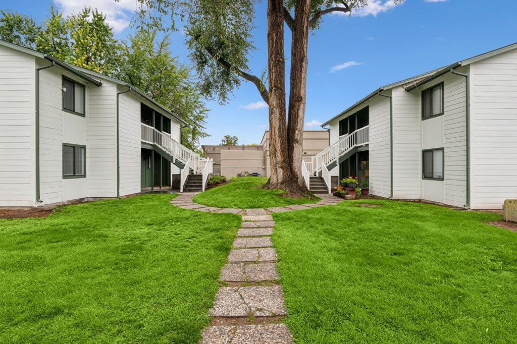 A tree in the middle of a grassy area with a stone pathway leading to a building.