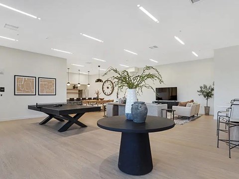 A modern living room with a black coffee table and a plant on it.