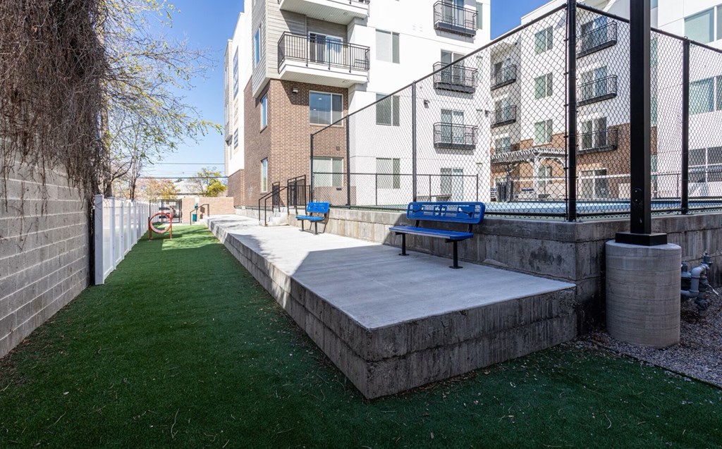 A small park with a bench and a fence.