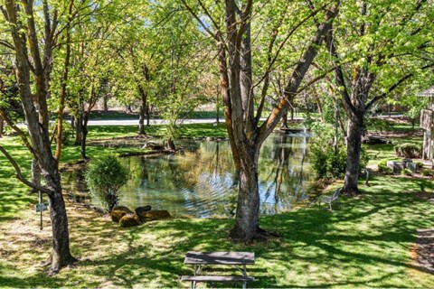 A serene park with a pond, trees, and a bench.