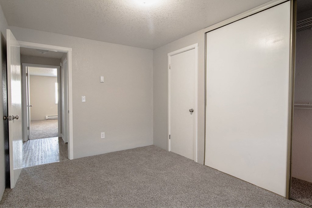 A room with two doors and a carpeted floor.